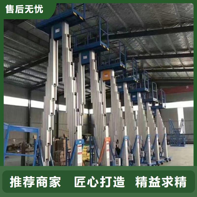 铝合金升降机货梯升降机实力工厂