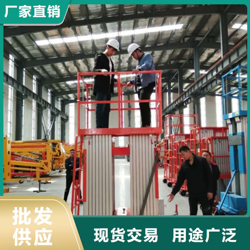 铝合金升降机货梯升降机实力工厂
