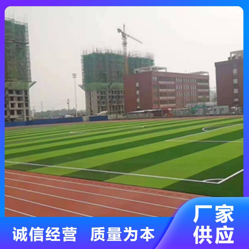 2025混合型塑胶跑道施工