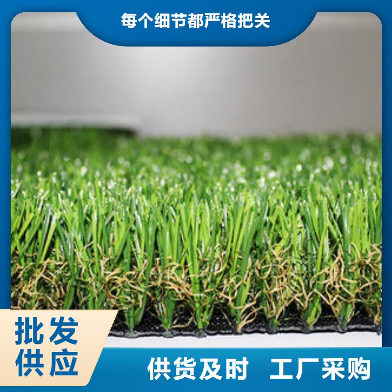 人造草坪同质透心地材用的放心