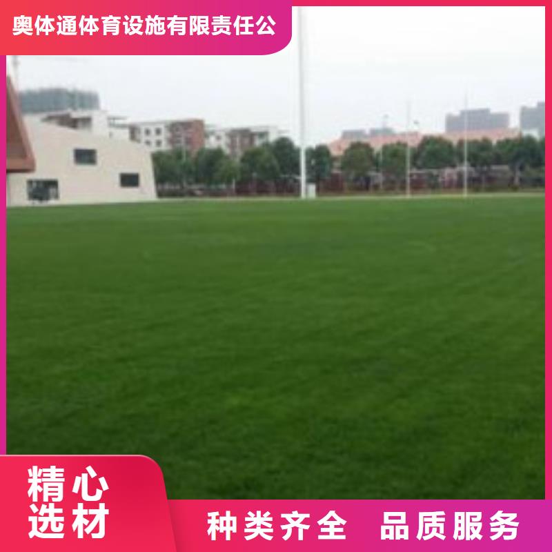 人工草坪人造草皮