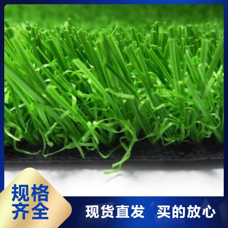 人造草坪,PVC塑胶地板种类多质量好