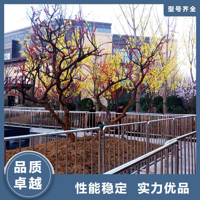 武汉【铁马出租活动铁马出租九州