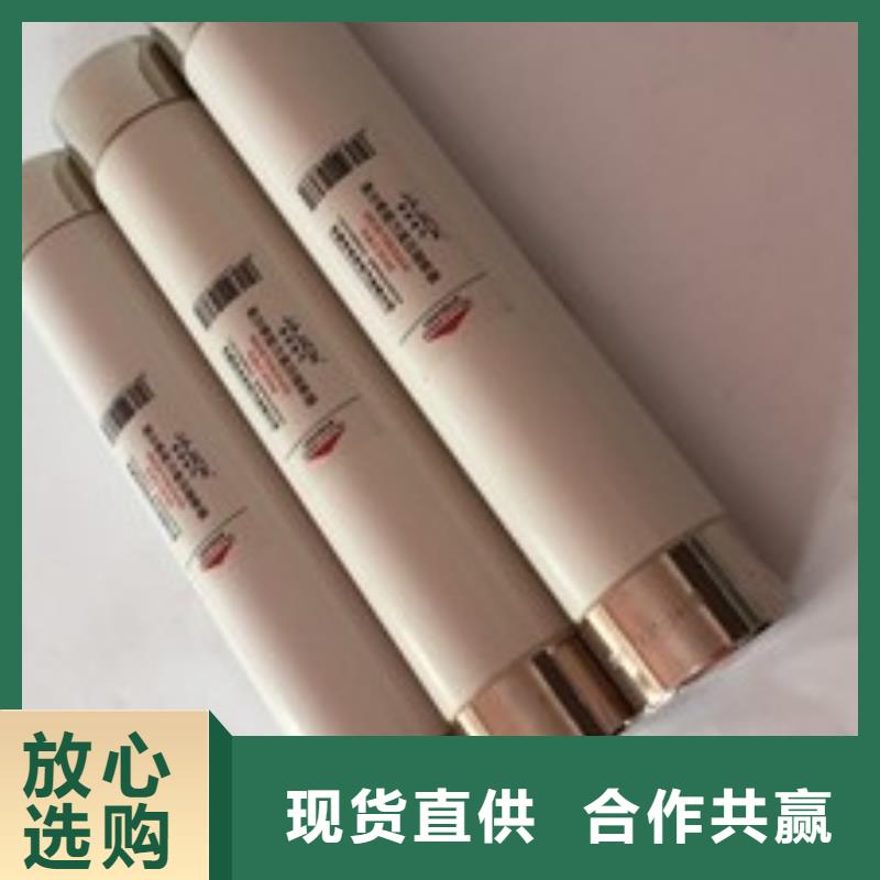 保护电压互感器用高压限流熔断器XRNP1-12/2A