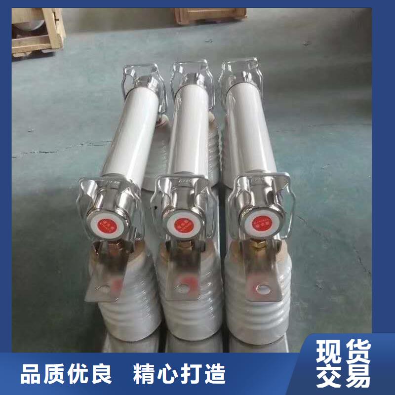 变压器保护用高压限流熔断器XRNT1-7.2KV/20A型号