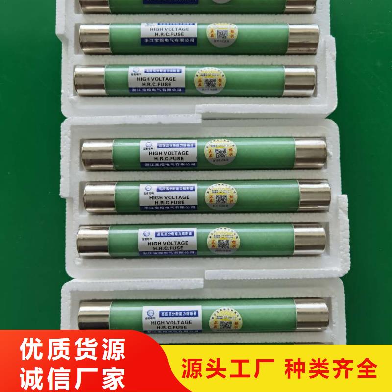 保护电压互感器用高压限流熔断器XRNP1-24/0.5A