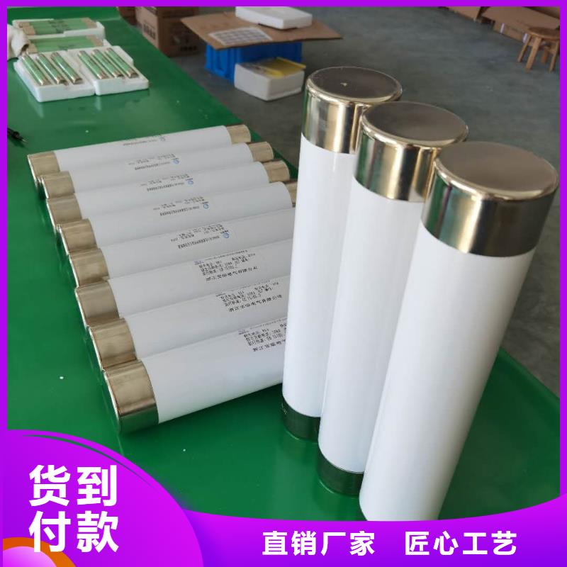 保护电压互感器用高压限流熔断器XRNP1-12/2A