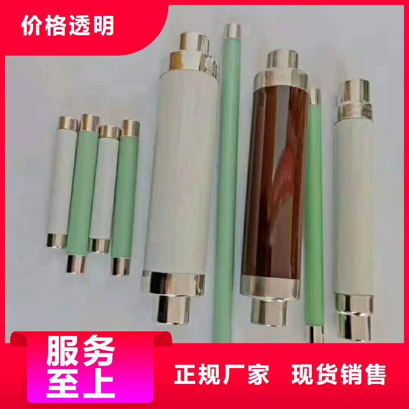 保护电压互感器用高压限流熔断器XRNP1-3.6/1A