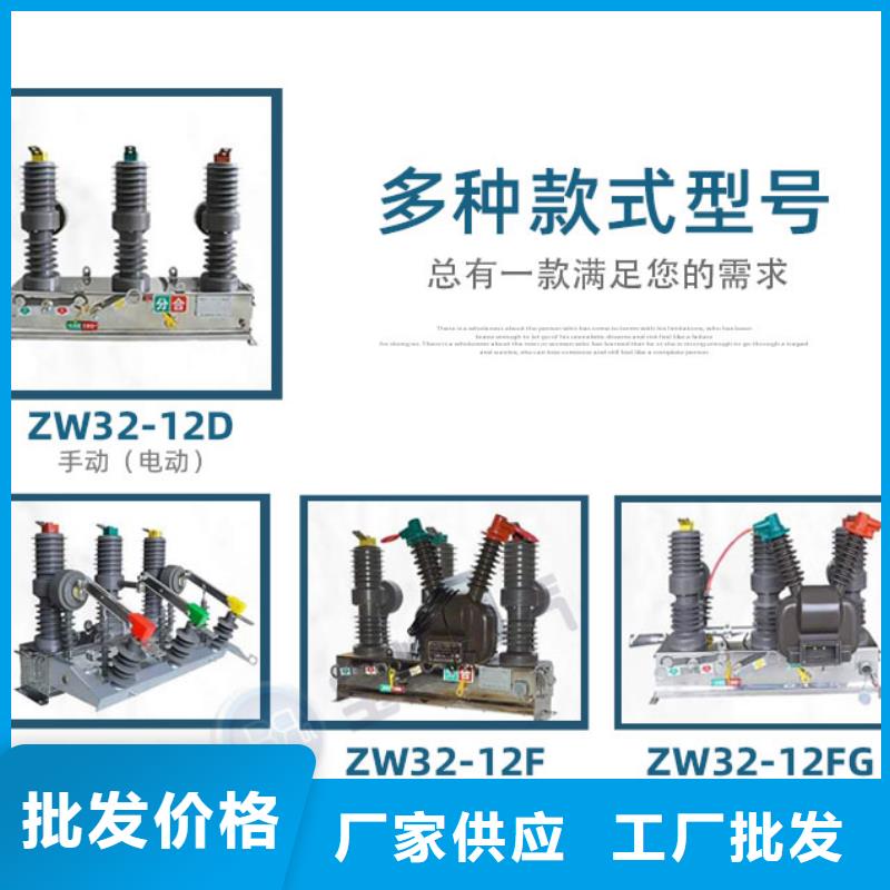 真空断路器不锈钢智能手动开关跌落式熔断器RW12规格齐全