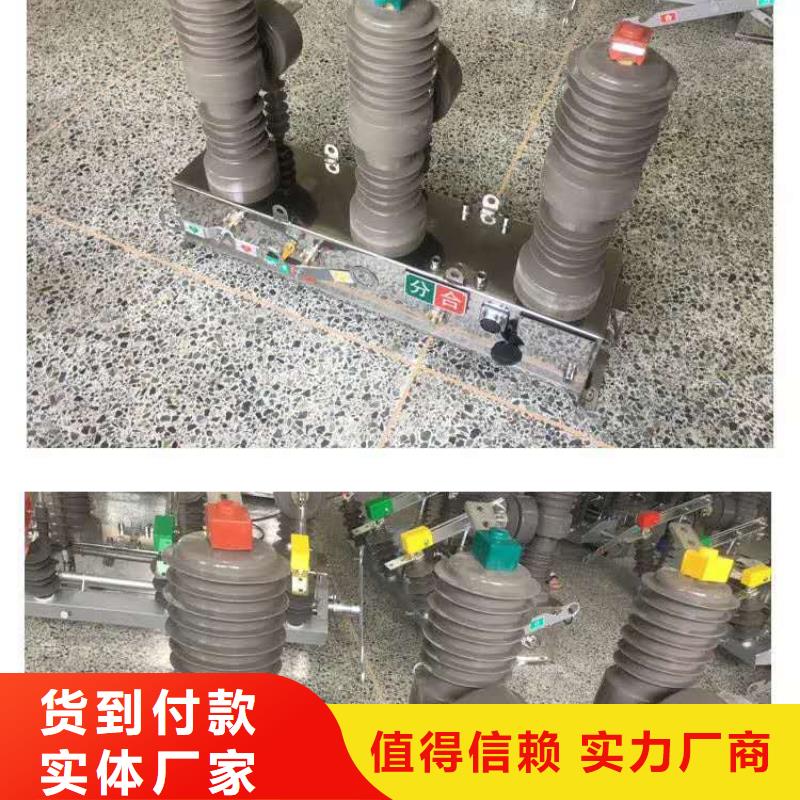 dgg户外高压真空断路器ZW32-12G/1250-31.5