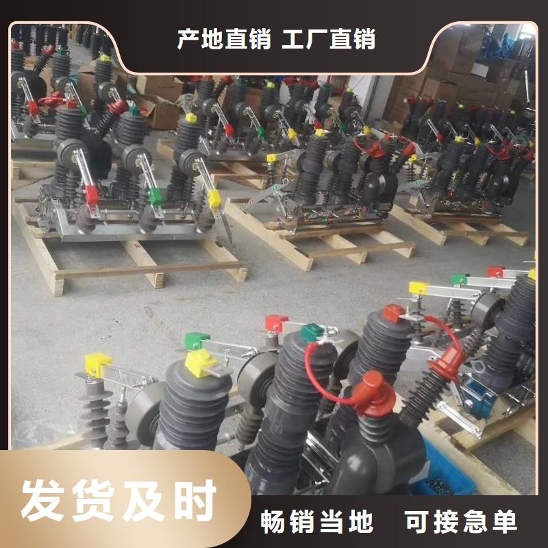 真空断路器不锈钢智能手动开关跌落式熔断器RW12规格齐全
