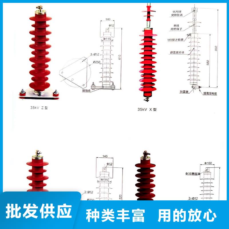 【氧化锌避雷器_户外跌落式避雷器一站式厂家】