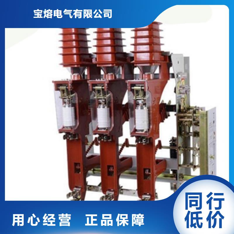高压负荷开关熔断器组FZN21-12
