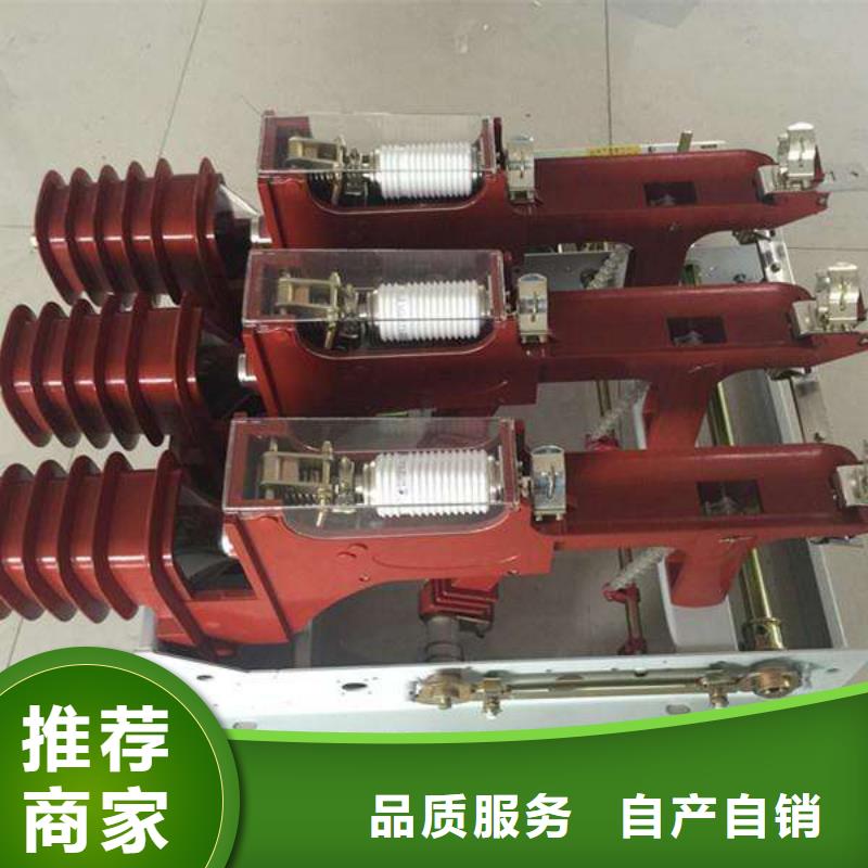 FN21-12D/T630-20柜内负荷开关