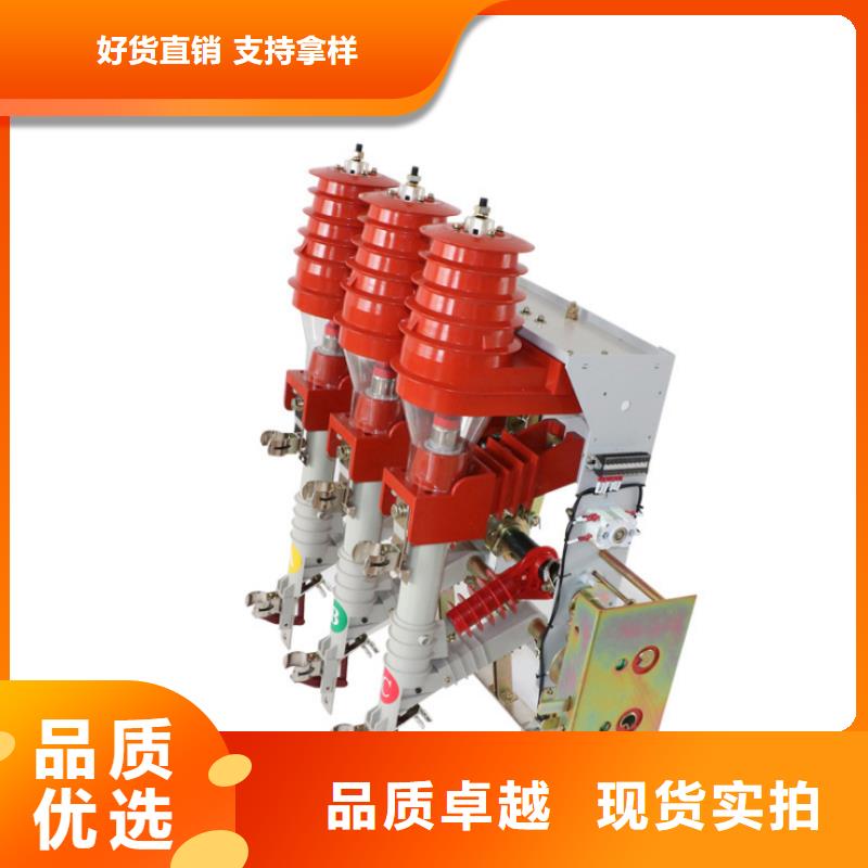 高压负荷开关压气式FN21-12D/T630-20厂家