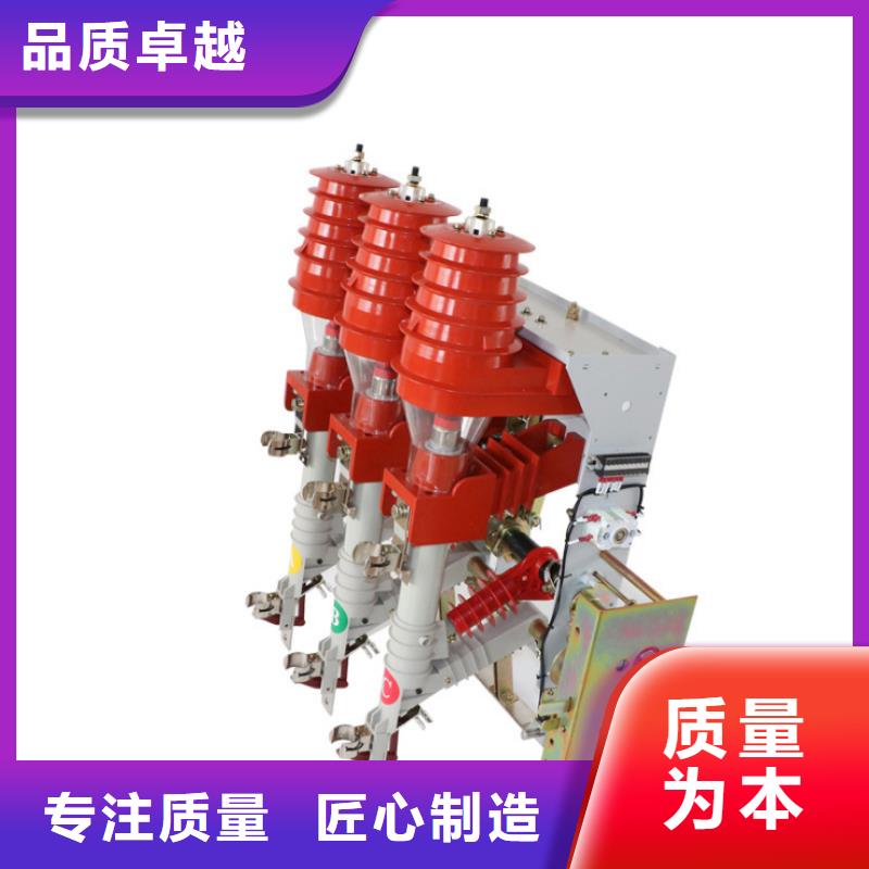 高压负荷开关熔断器组FZN21-12
