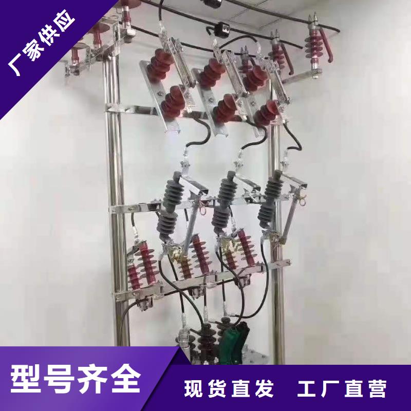 跌落式熔断器隔离开关专注细节更放心