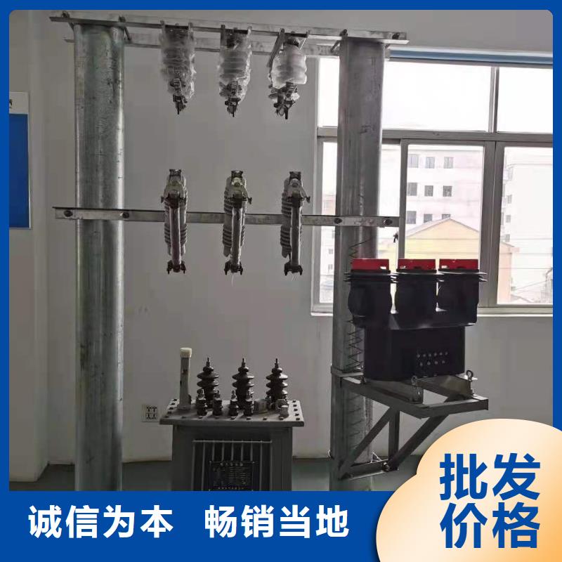 户外高压跌落式熔断器RW12-24/100A厂家直销