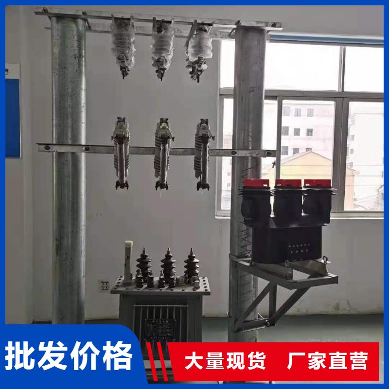 生产厂家RW12-24/100A高压跌落式熔断器