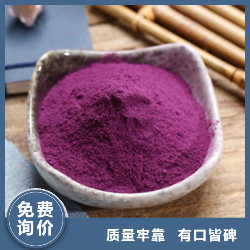 紫番薯苗（脱毒苗)快速发货