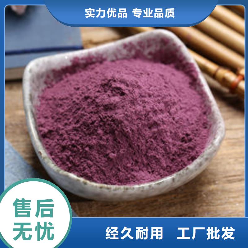 紫番薯苗（脱毒苗)欢迎致电