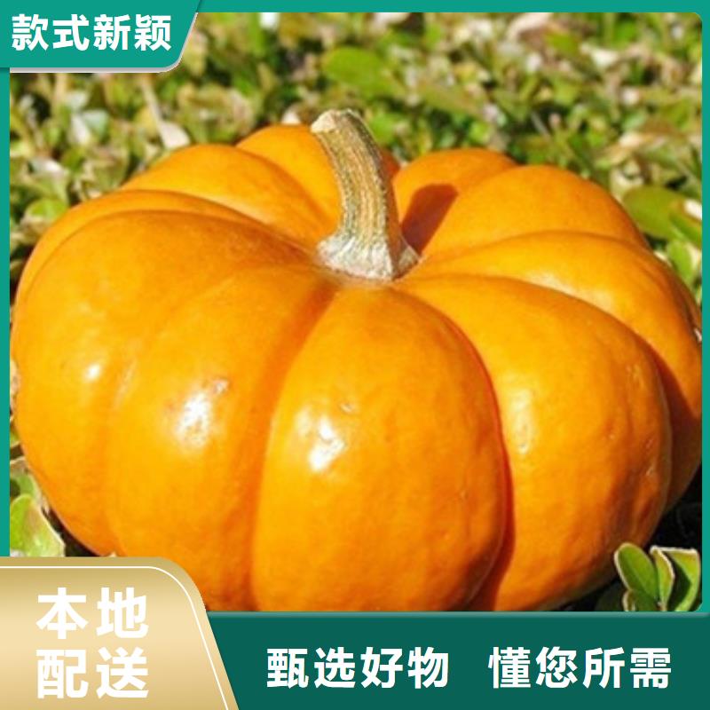 南瓜粒产品介绍