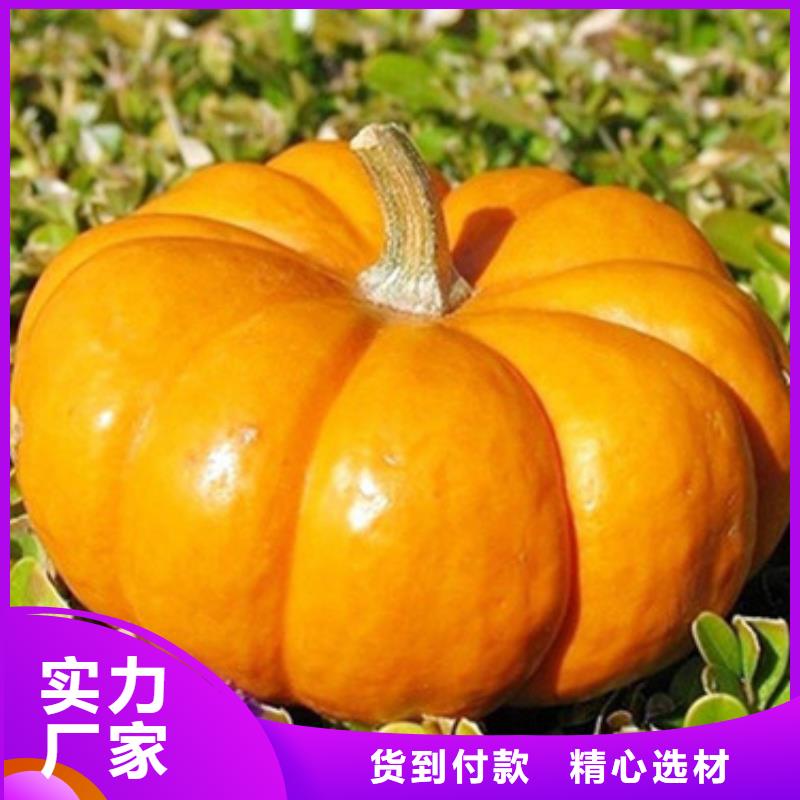 脱水南瓜丁（南瓜颗粒）的做法