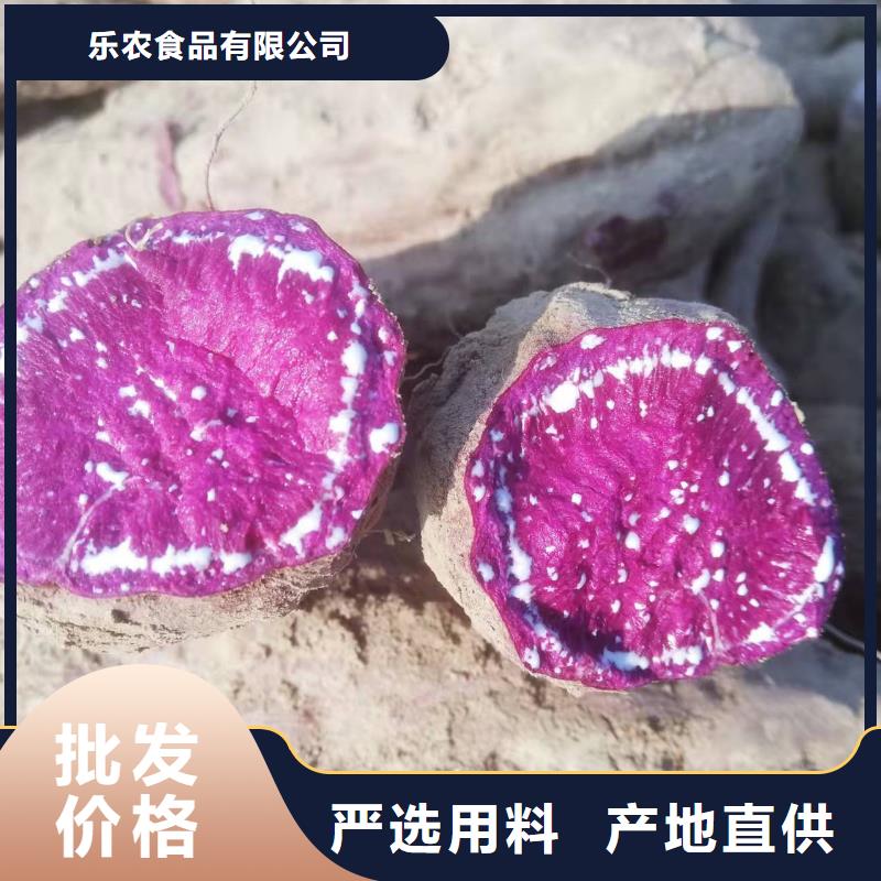 【紫薯苗】羽衣甘蓝粉一站式采购商家