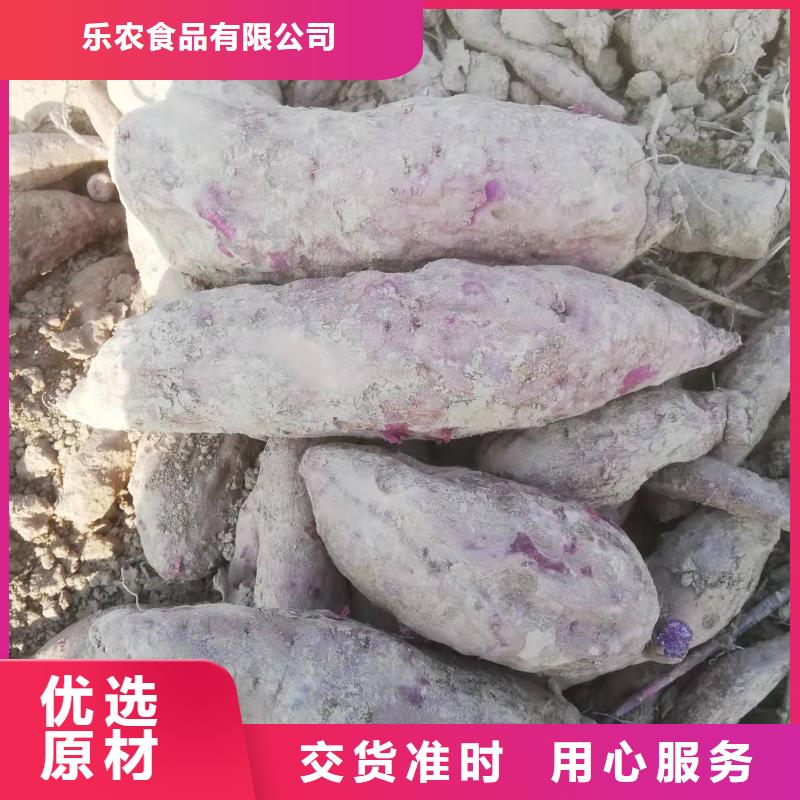 紫薯苗栽培技术