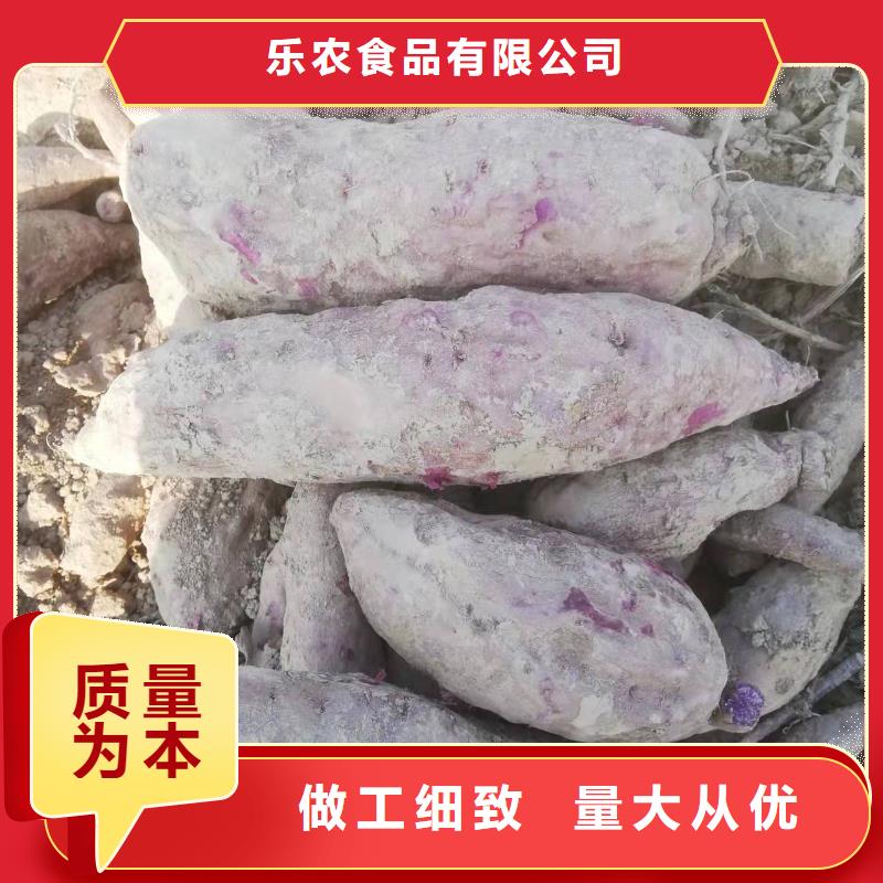 甘薯苗（紫红薯苗）行情走势