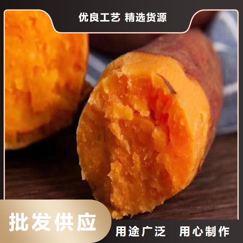 白沙县高产脱毒紫薯苗(绫紫)欢迎致电