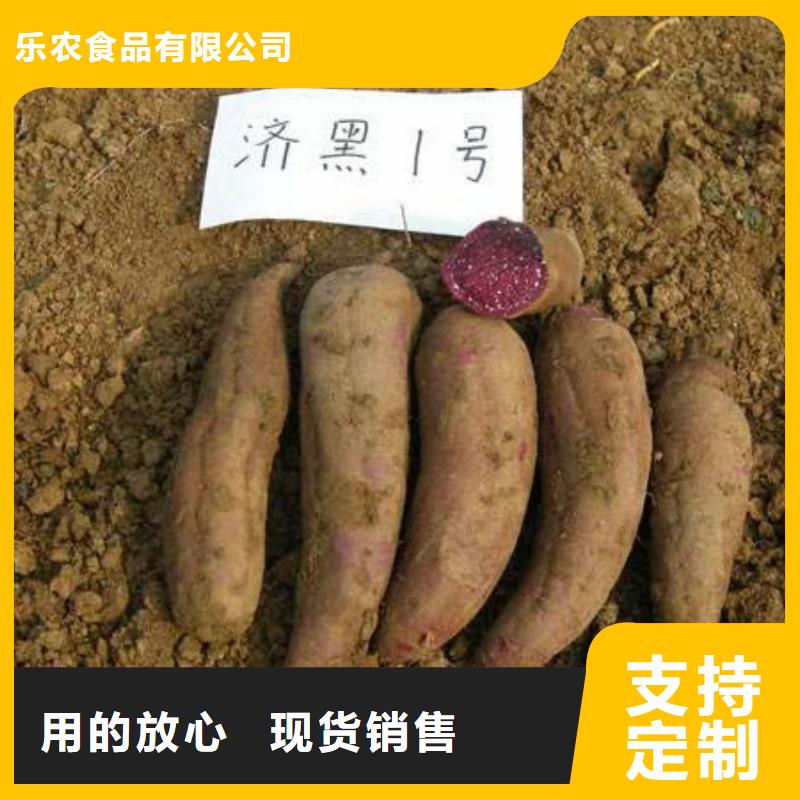紫罗兰紫薯苗批发低价