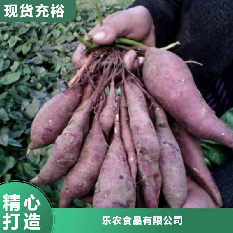 脱毒紫薯苗（济黑品种）品种齐全