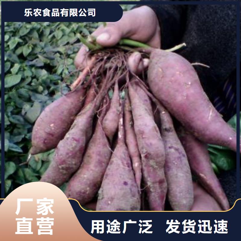 甘薯苗（紫红薯苗）适合种植的地方