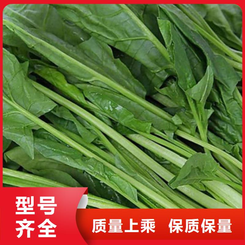 菠菜粉发货快