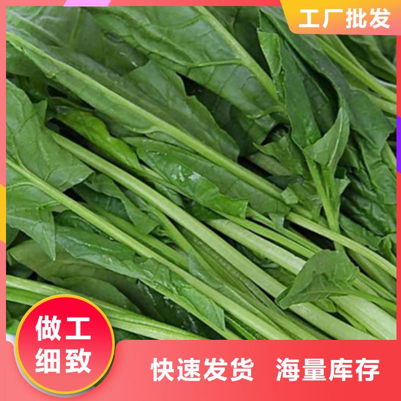 菠菜粉规格