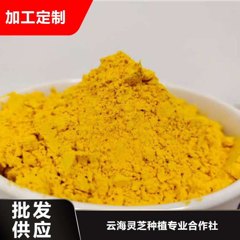 南瓜粉价格