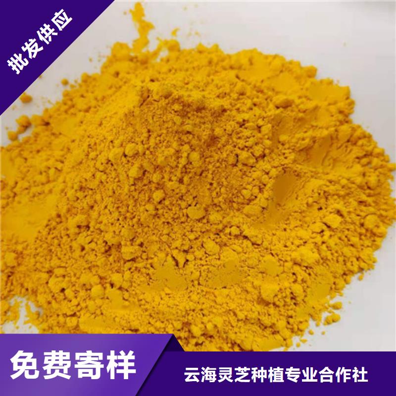 南瓜生粉欢迎致电