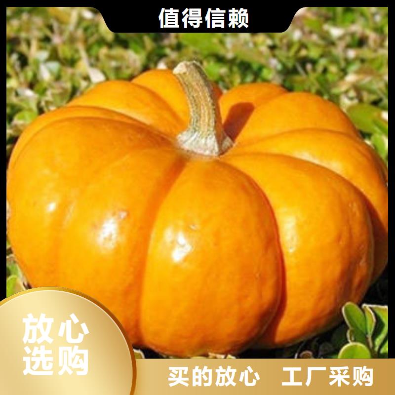 南瓜丁适宜人群