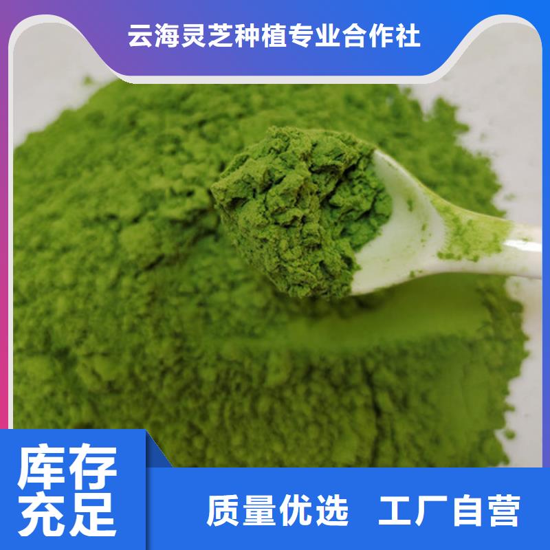 菠菜粉专业生产加工
