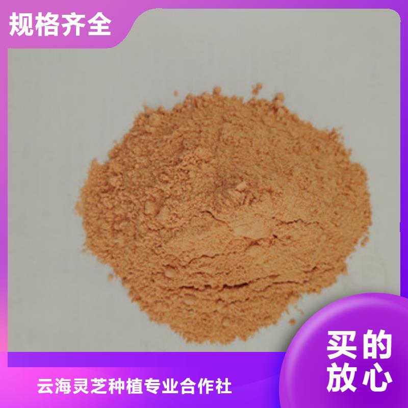 胡萝卜粉生产厂家