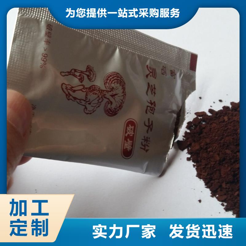 价格合理的优质灵芝盆栽生产厂家