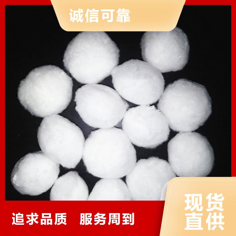 改性纤维球口碑好