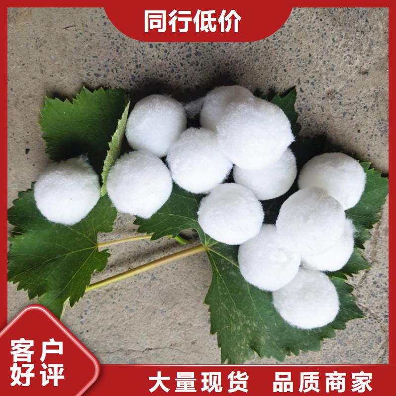纤维球填料发货及时