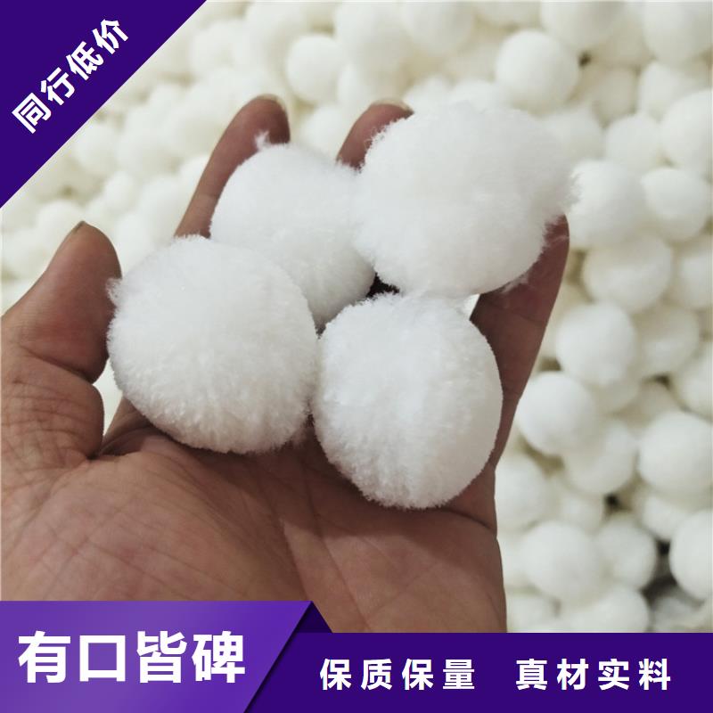 改性纤维球发货及时