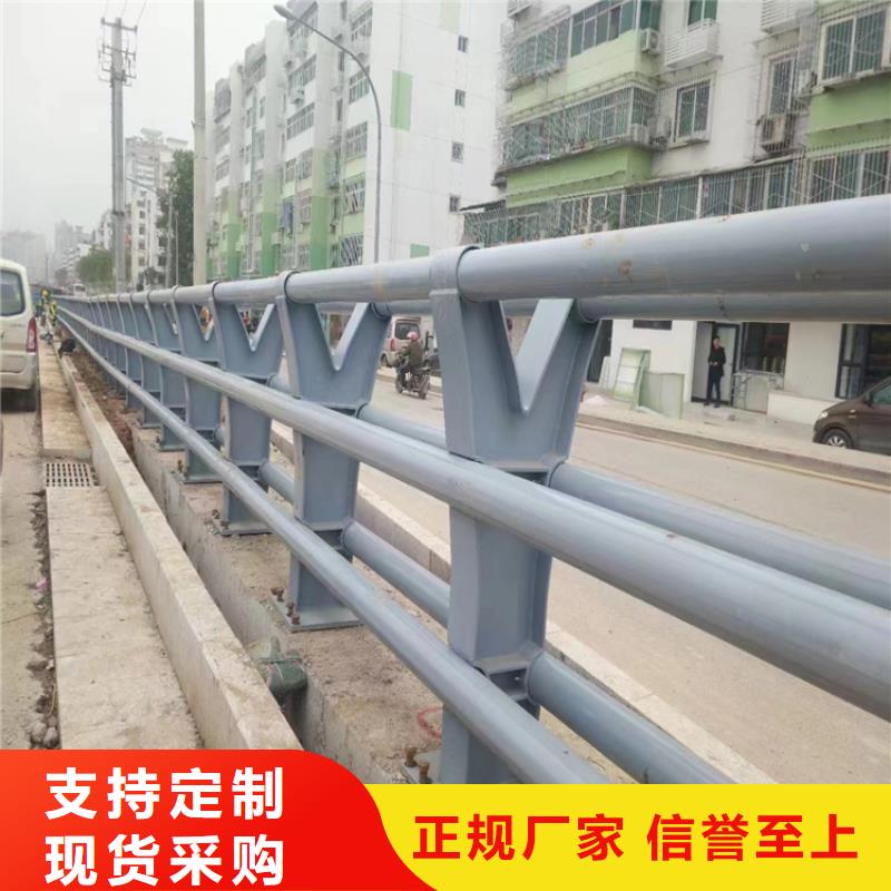 高速道路防撞护栏展鸿护栏厂家靠谱