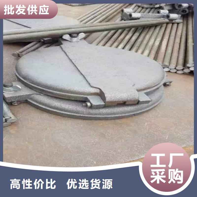 生物质锅炉炉门