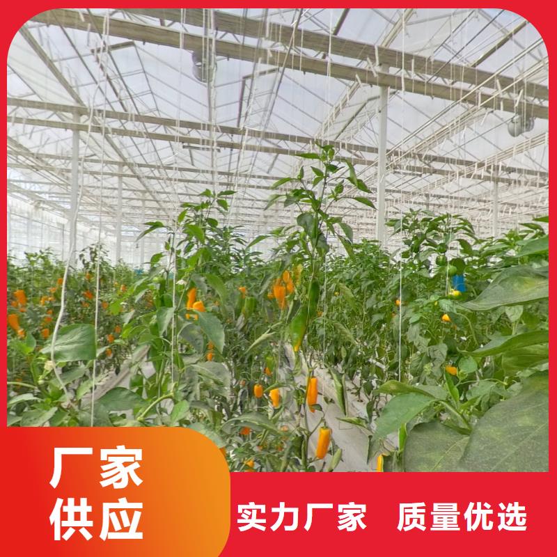 信丰连栋塑料薄膜大棚管介绍来图定制