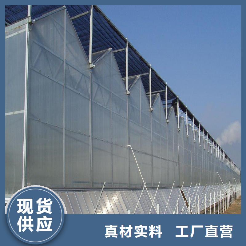 定陶连栋温室大棚在线报价