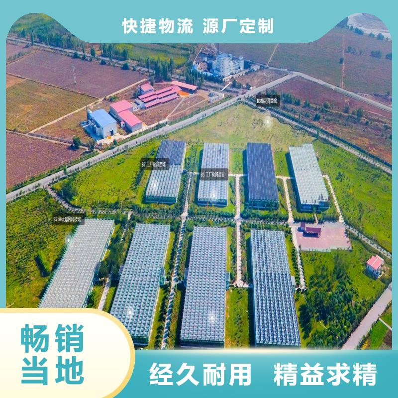 乐平市养殖大棚钢管